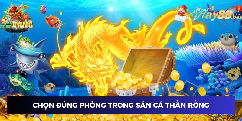 Chọn phòng săn cá thần rồng hợp lý